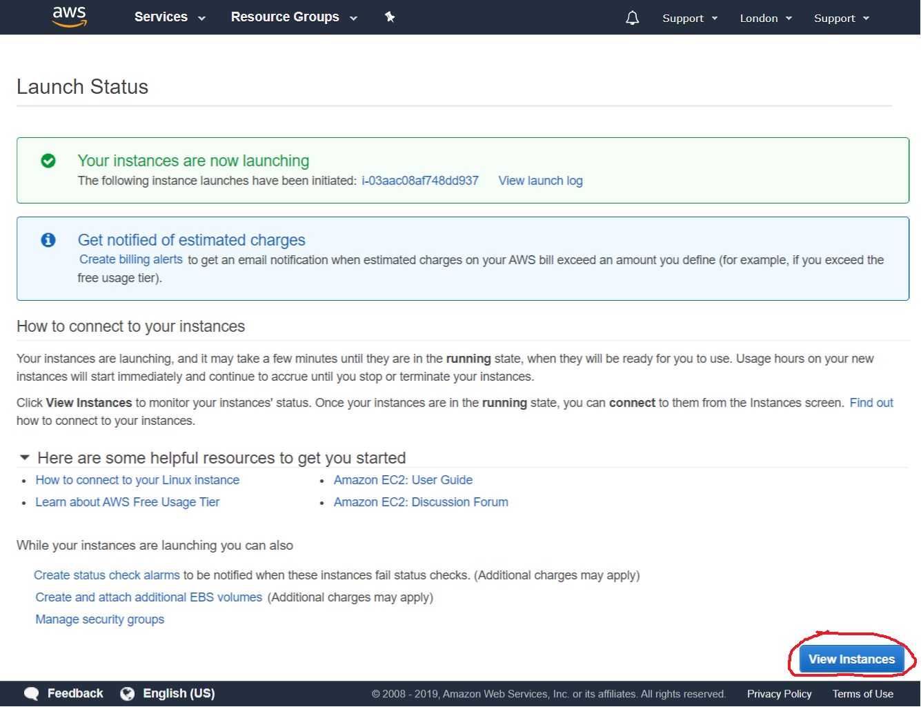 Instance Launch Summary
